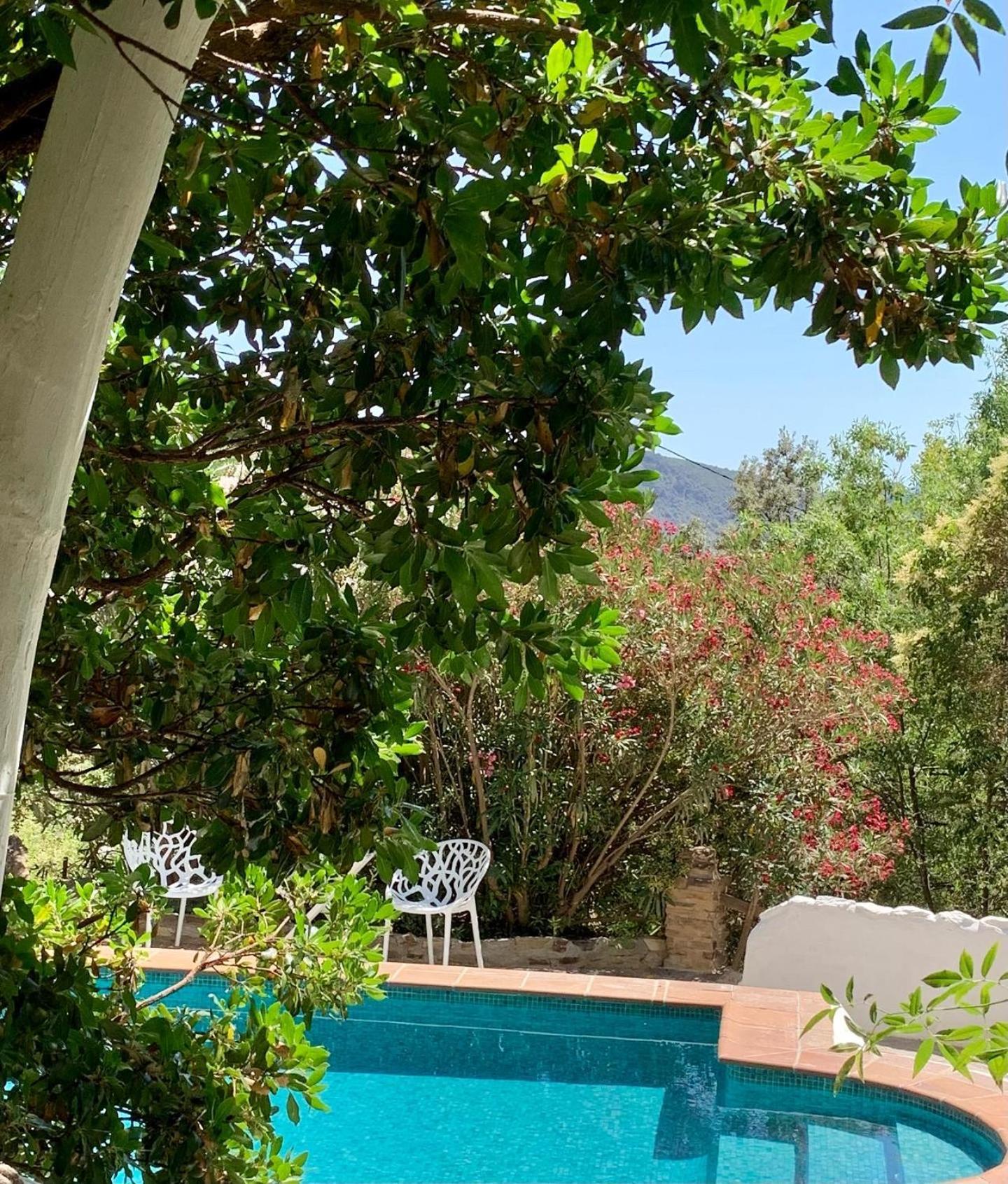 Cortijo La Vinuela Villa Atalbeitar Bagian luar foto